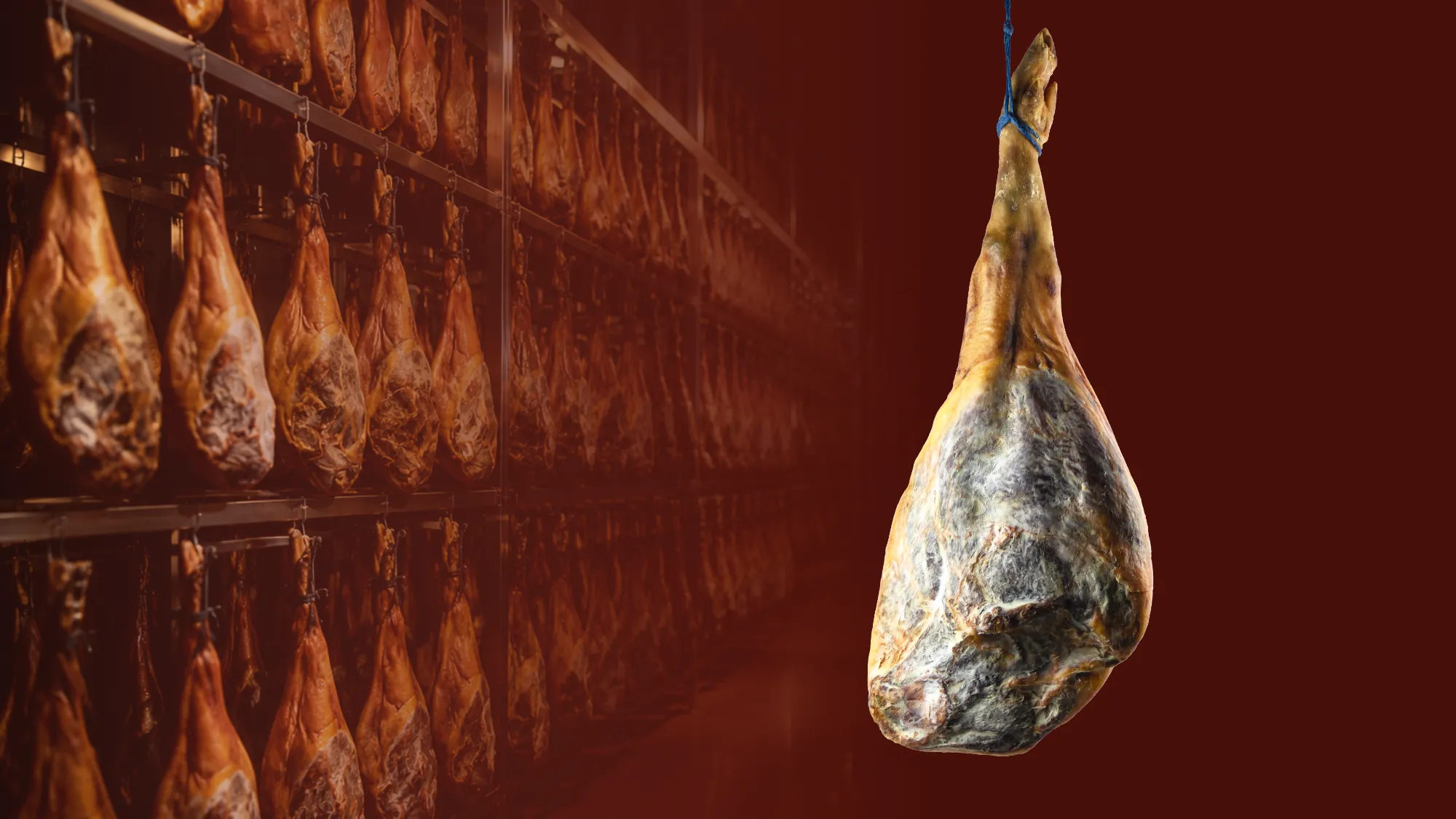 Presunto Duroc